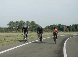 Understanding Pet Food: Every Pet Owner Should Know