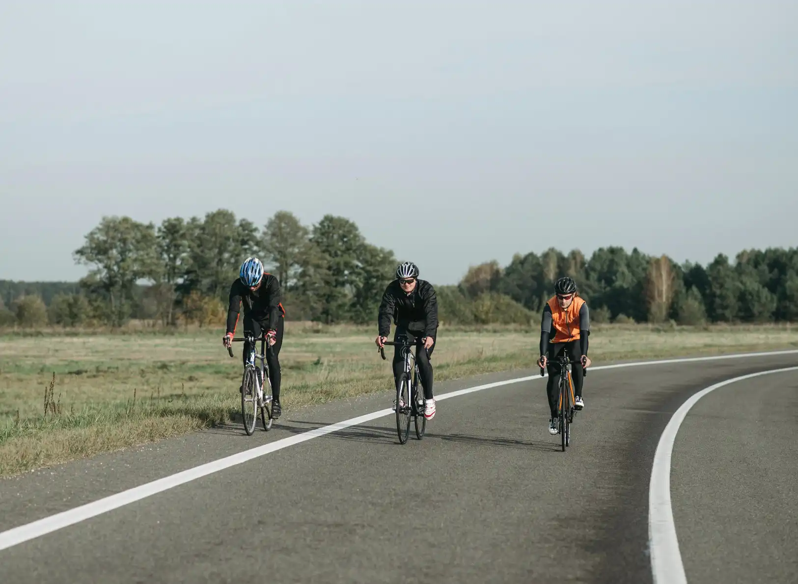 Understanding Pet Food: Every Pet Owner Should Know