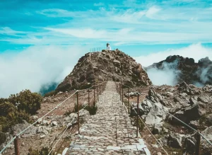 初心者はどんなグッピーを選べばいい？